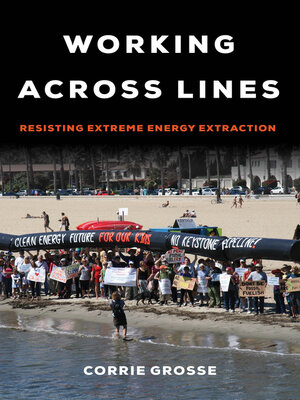 cover image of Working across Lines
